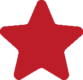  Star Icon